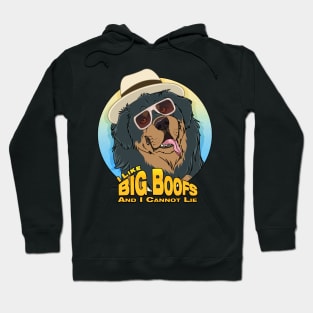 I Like BIG Boofs Hoodie